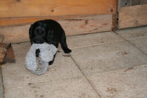 2017-02-07 Woche 6 023 