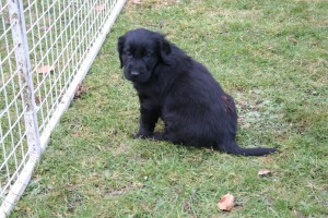 2017-02-11 Woche 6 020  